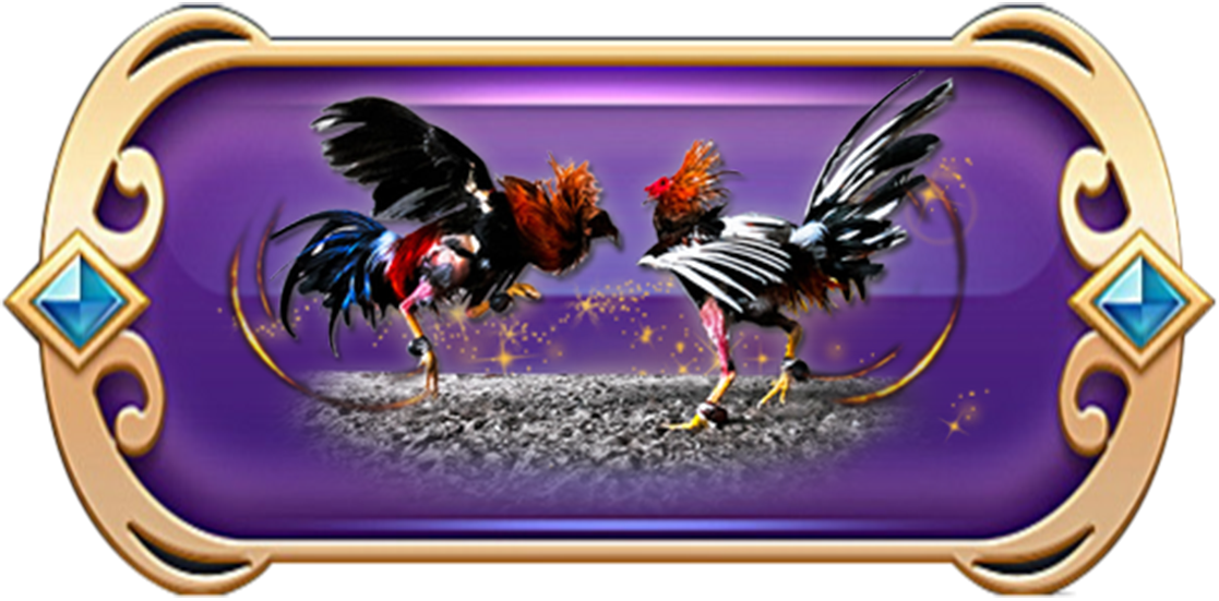 sabung ayam
